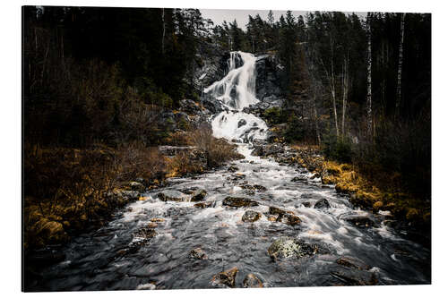 Cuadro de aluminio Forests in Sweden, Älga waterfall Älgafallet