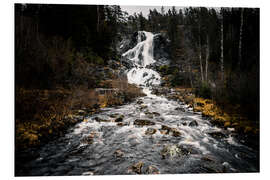 Tableau en PVC Forests in Sweden, Älga waterfall Älgafallet