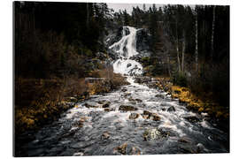 Gallery print Forests in Sweden, Älga waterfall Älgafallet