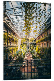 Acrylic print A coffee in the greenhouse in Budapest