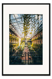 Gerahmter Kunstdruck Ein Kaffee im Gewächshaus in Budapest