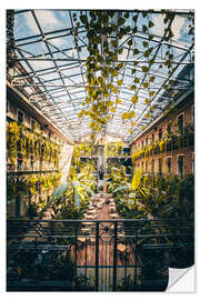 Selvklebende plakat A coffee in the greenhouse in Budapest