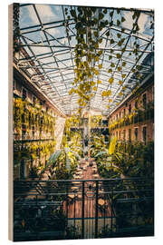 Quadro de madeira A coffee in the greenhouse in Budapest