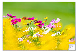 Wandsticker Sommerliche Blumenwiese