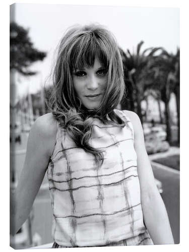 Quadro em tela Francoise Dorleac, Cannes Festival, 1964