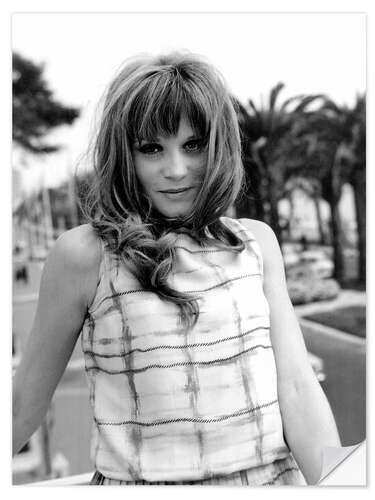 Sticker mural Francoise Dorleac, Cannes Festival, 1964