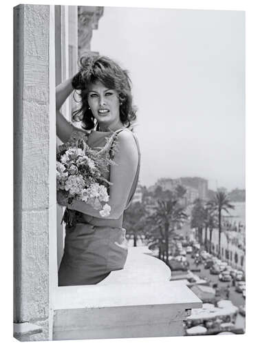 Obraz na płótnie Sophia Loren, Cannes Festival, 1959