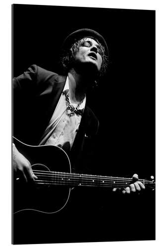 Gallery print Peter Doherty concert at the Days Off Festival, Cite de la musique