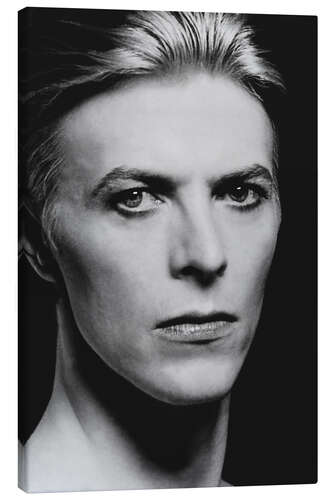 Canvas print David Bowie portrait