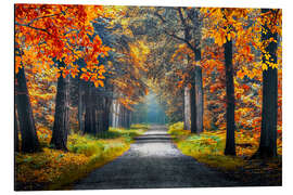 Magnettafel Herbst in Holland