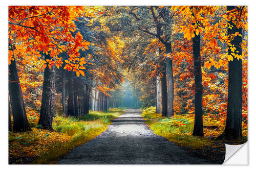 Wandsticker Herbst in Holland