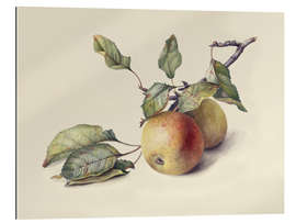 Gallery print Two apples on the branch