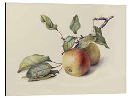 Magnettafel Zwei Äpfel am Ast