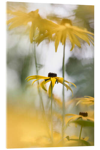 Acrylic print Beautiful Nature