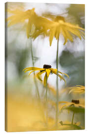 Canvas print Beautiful Nature