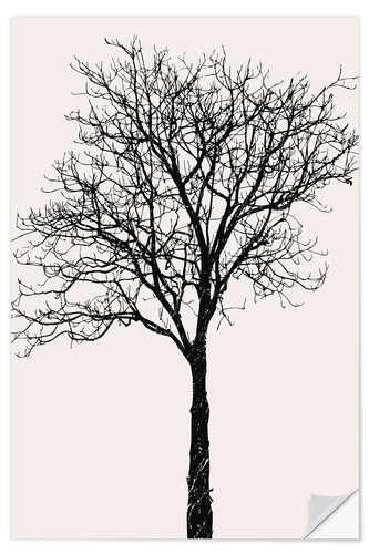 Sticker mural Black Birch