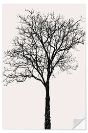 Selvklebende plakat Black Birch