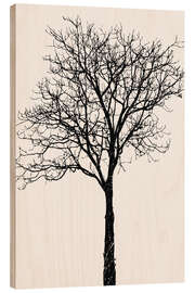 Quadro de madeira Black Birch