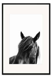 Gerahmter Kunstdruck Black Beauty