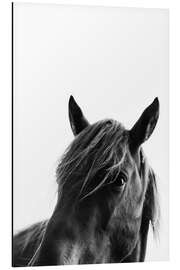 Magnettafel Black Beauty