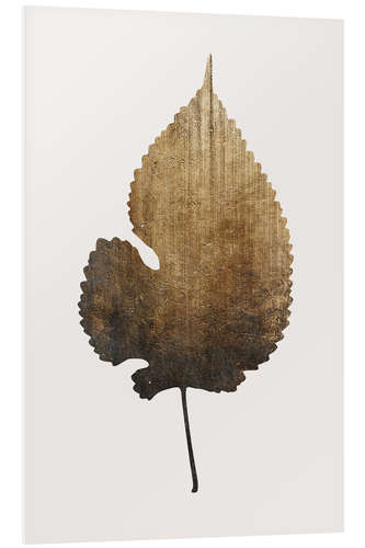 Foam board print Golden Leaf