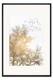 Gerahmter Kunstdruck Golden Skies