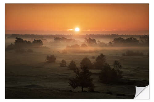 Vinilo para la pared Mysterious sunrise