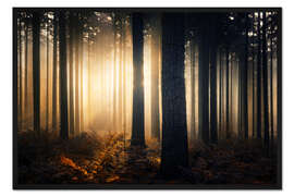 Gerahmter Kunstdruck Waldkunst