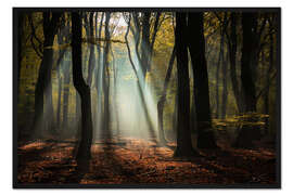 Gerahmter Kunstdruck Waldschönheit