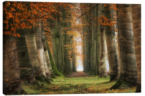 Canvas print Covered trees