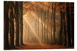 Magnettafel Licht um die Ecke