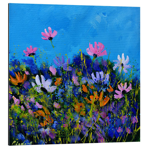 Tableau en aluminium A few cosmos flowers