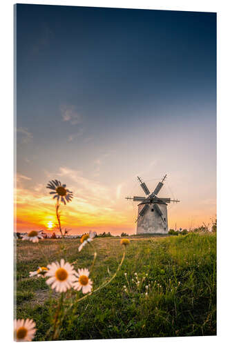 Acrylic print Windmill in sunset