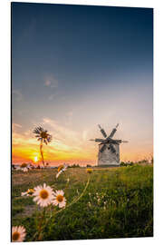 Cuadro de aluminio Windmill in sunset