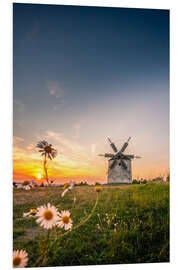 Tableau en PVC Windmill in sunset