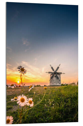 Gallery print Windmill in sunset