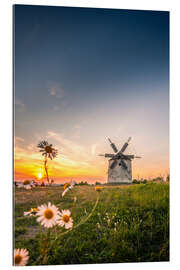 Tableau en plexi-alu Windmill in sunset