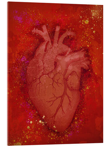 Acrylic print Heart Full Of Love