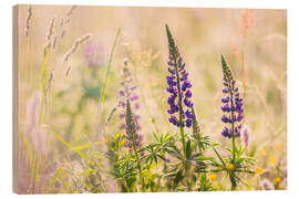 Holzbild Lupinen in einer Wiese