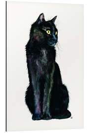 Aluminium print Shades of the Black Cat