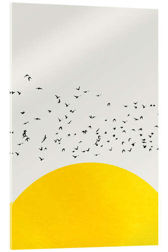 Acrylglas print A Thousand Birds