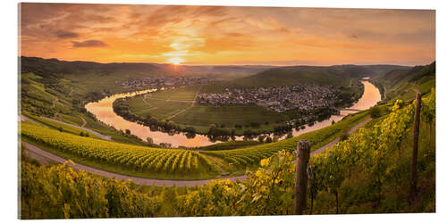 Acrylic print Circle of Light - Moselschleife bei Trittenheim