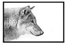 Gerahmter Kunstdruck Wolfskopf mit Ebenholzaugen