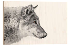 Wood print Wolf head with ebony eyes