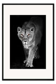 Gerahmter Kunstdruck Nachtlöwin mit leuchtenden Ebenholzaugen