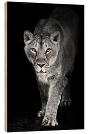 Wood print Night lioness with shining ebony eyes