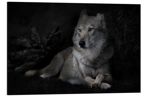 Tableau en aluminium Slim, independent she-wolf