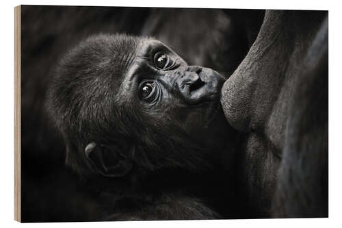 Holzbild Süßer Baby-Gorilla an Mutters Brust