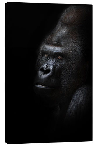 Canvas print Mighty male gorilla