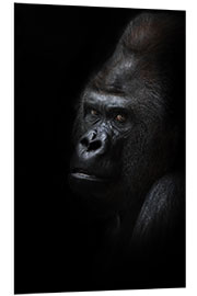 Quadro em PVC Mighty male gorilla